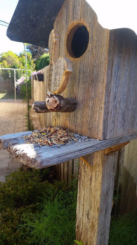 Driftwood-Cottage - Australian Directory 29
