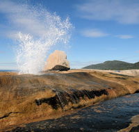 Suntrap Cove Bicheno - Australian Directory