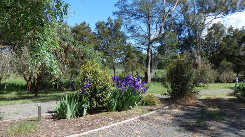 Karoola Cottage Self Contained - Australian Directory 19