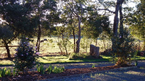 Karoola Cottage Self Contained - Australian Directory 25