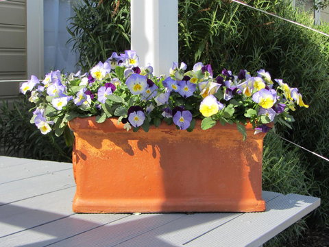 Elm Trees Accommodation @ Ross - Australian Directory 27