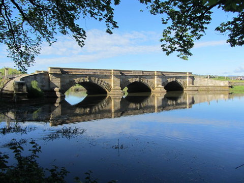 Elm Trees Accommodation @ Ross - Australian Directory 29