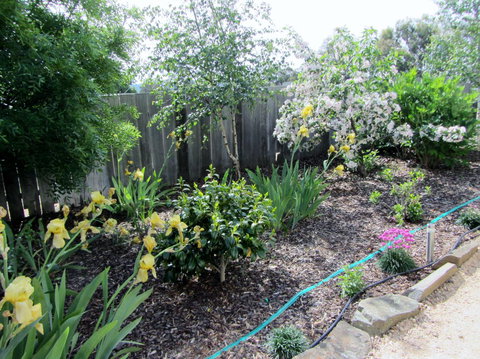 Elm Trees Accommodation @ Ross - Australian Directory 6