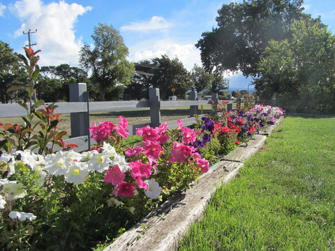 Elm Trees Accommodation @ Ross - Australian Directory 24