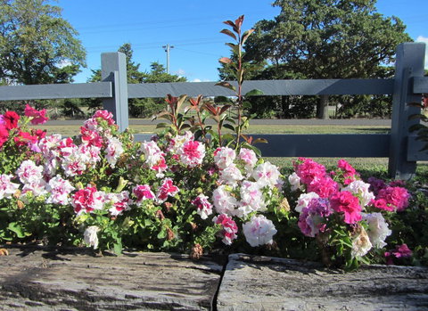 Elm Trees Accommodation @ Ross - Australian Directory 25