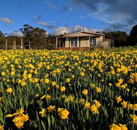 Mountain Blue Guest House - Australian Directory