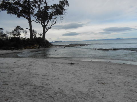 Bruny Ocean Cottage - Australian Directory 7