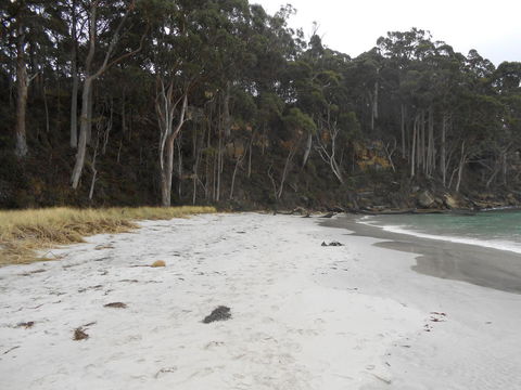 Bruny Ocean Cottage - Australian Directory 12