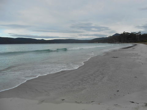 Bruny Ocean Cottage - Australian Directory 11