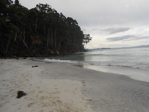 Bruny Ocean Cottage - Australian Directory 17