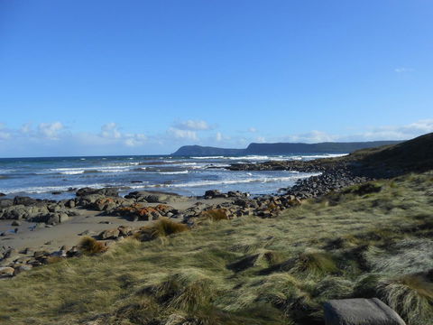 Bruny Ocean Cottage - Australian Directory 15