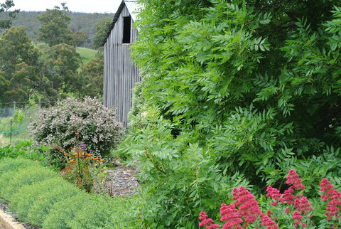 Hamlet Downs Country Accommodation - Australian Directory 19