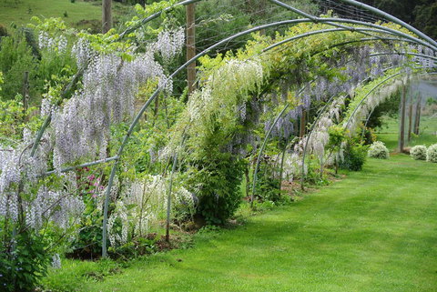 Hamlet Downs Country Accommodation - Australian Directory 17