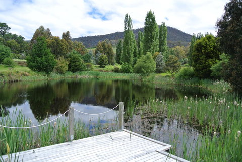 Hamlet Downs Country Accommodation - Australian Directory 12