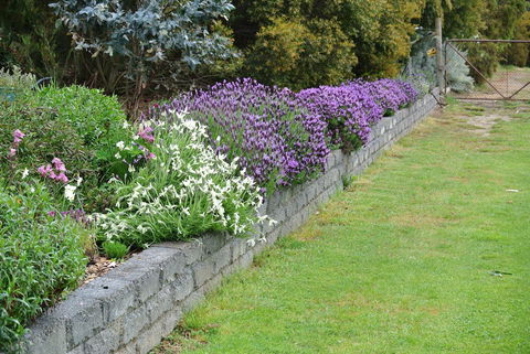 Hamlet Downs Country Accommodation - Australian Directory 14