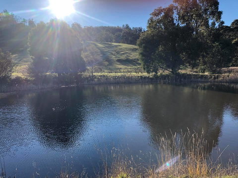 Hamlet Downs Country Accommodation - Australian Directory 8