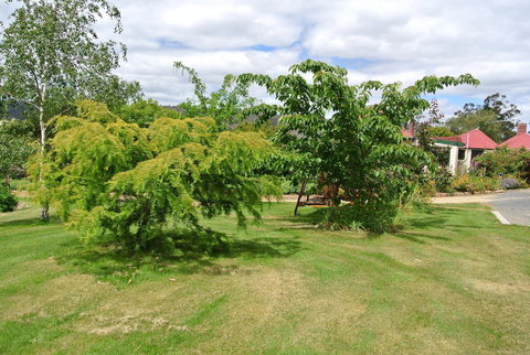 Hamlet Downs Country Accommodation - Australian Directory 21