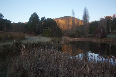 Hamlet Downs Country Accommodation - Australian Directory 25