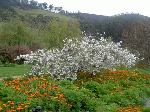 Hamlet Downs Country Accommodation - Australian Directory 13