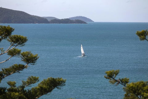 NEW Northcape 1 Ocean Front 2 Bedroom Choose Between 2 Properties - Australian Directory 2