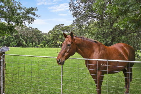 NUNGAROO COTTAGE - Australian Directory 3