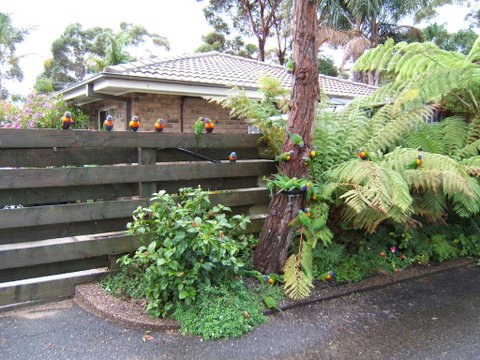 Ocean Drive Apartments - Australian Directory 3