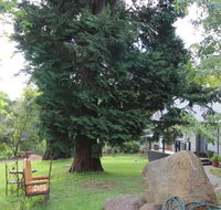 Olinda Country Cottages - Australian Directory