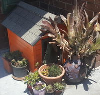 Orange Grove Hotel - Australian Directory