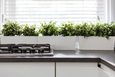 Paddington Apartment, Escape In Luxury - Australian Directory 3