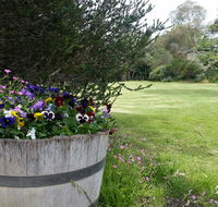 Padthaway Caravan Park - Australian Directory