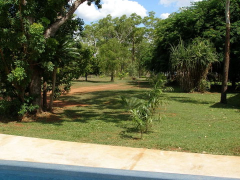Pandanus On Litchfield - Australian Directory 3
