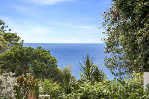 Papillon Coolum - Australian Directory 1