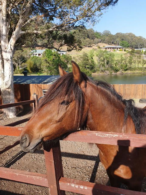 Park View Guest House - Australian Directory 1