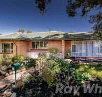 pasadena quinlan - Australian Directory