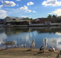 Pelican Cove Apartments - Australian Directory