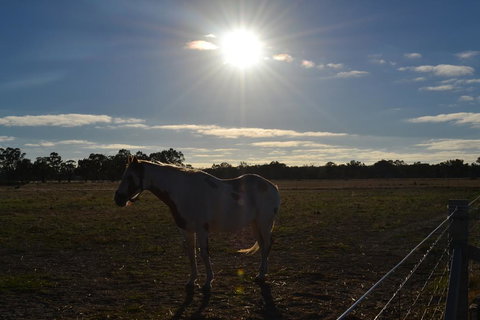 Penny's Place In The Pyrenees - Australian Directory 1