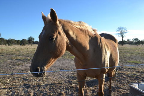 Penny's Place In The Pyrenees - Australian Directory 0
