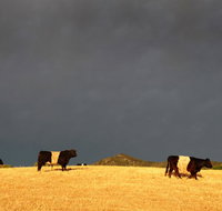 Peppertree Hill - Australian Directory