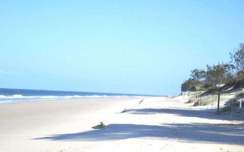 Pet Friendly Home Walking Distance To Surf Beach - North St, Woorim - Australian Directory 3