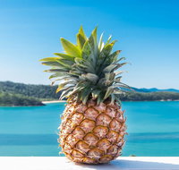 Pineapple House Whitsundays - Australian Directory