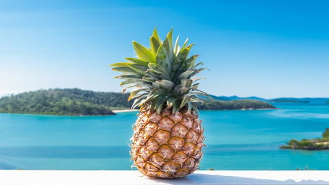 Pineapple House Whitsundays - Australian Directory 0