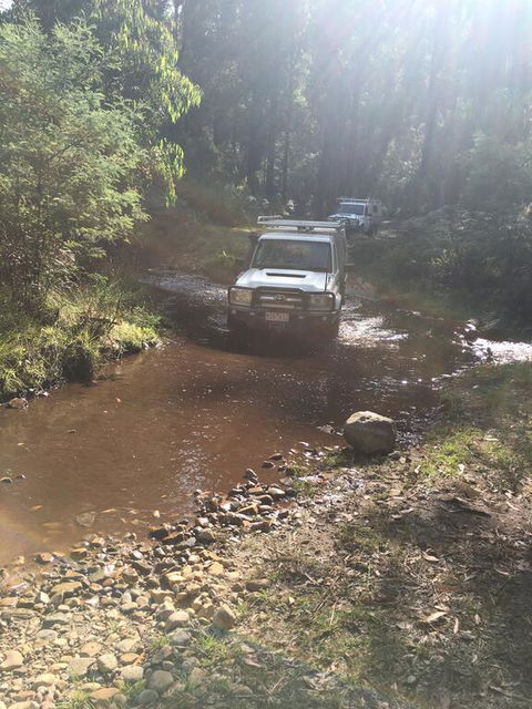 PNL 4WDriving Narbethong - Australian Directory 3