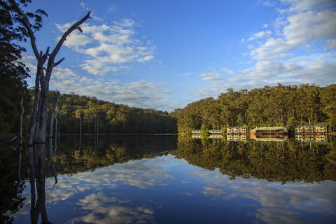 RAC Karri Valley Resort - Australian Directory 0