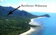 Rainforest Hideaway - thumb 1