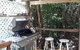 Rainforest Hideaway - thumb 3