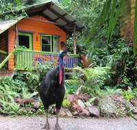 Rainforest Hideaway - Australian Directory