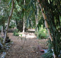 Rainforest Water Front River Shack Secluded. - Australian Directory