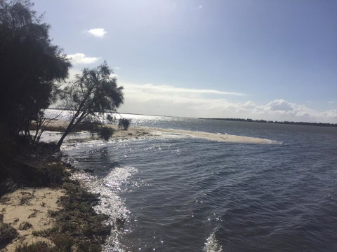 Relax At Dawesville Estuary - Australian Directory 1