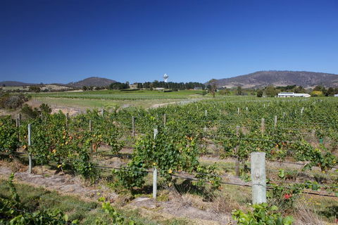 Riversdale Estate Cottages - Australian Directory 1