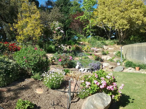 Rose Cottage - Australian Directory 1